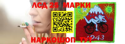 мдпв Бийск