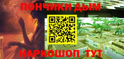 мдпв Бийск