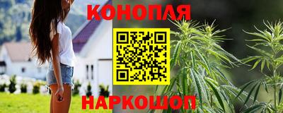 мдпв Бийск