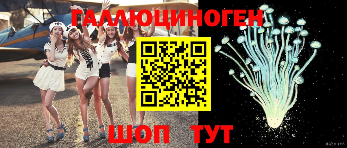 Псилоцибиновые грибы Psilocybe Кисловодск